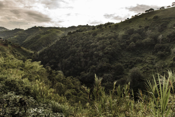 Valle del Cauca, Colombia