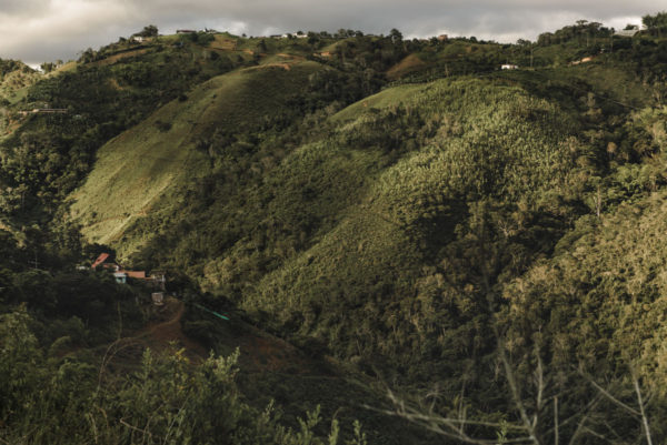Valle del Cauca, hilltops, Colombia